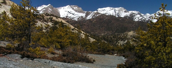 Trekking in Nepal